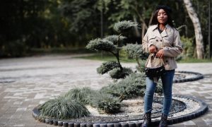 Применение гранитных бордюров в ландшафтном и дорожном дизайне